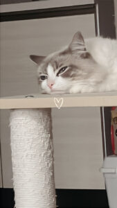 はじめまして💐🥂