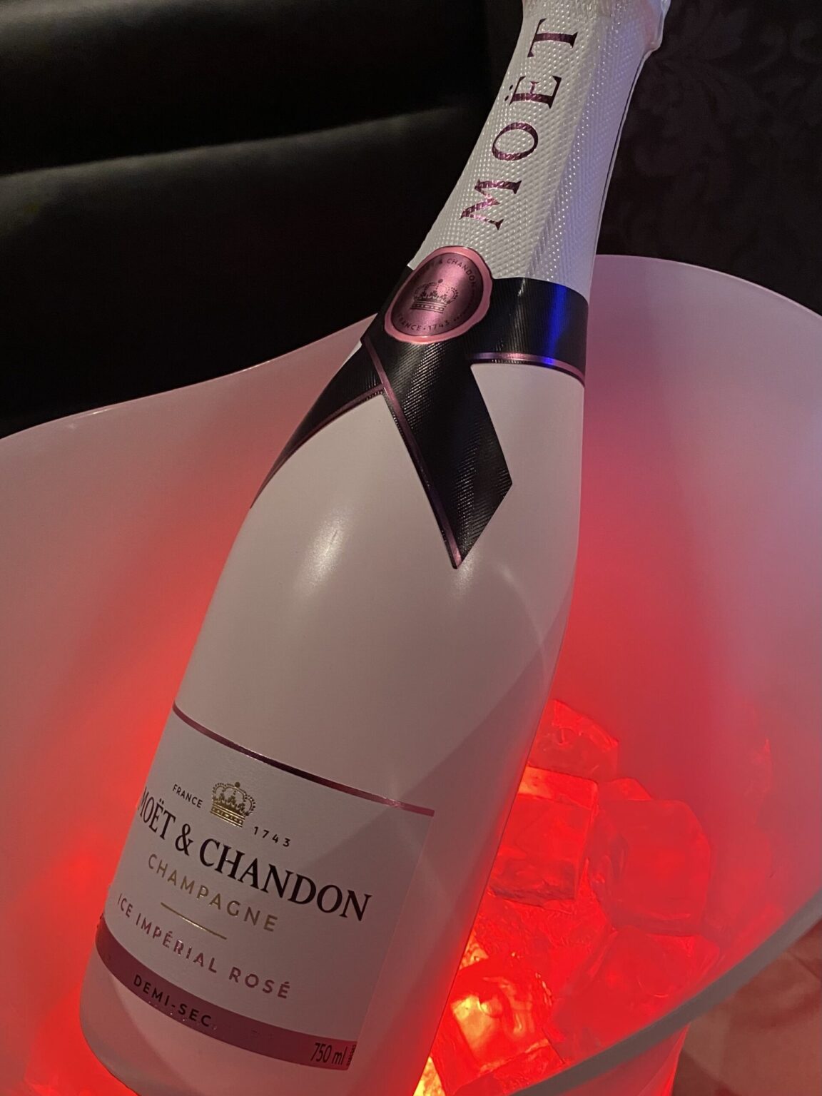 スナックOPENしました🐱 - 新橋 スナック TERESA テレサ