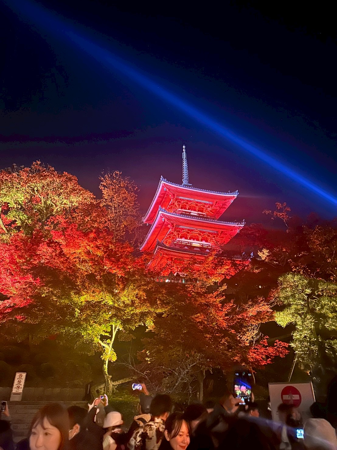 紅葉の京都🍁 - 新橋 スナック TERESA テレサ