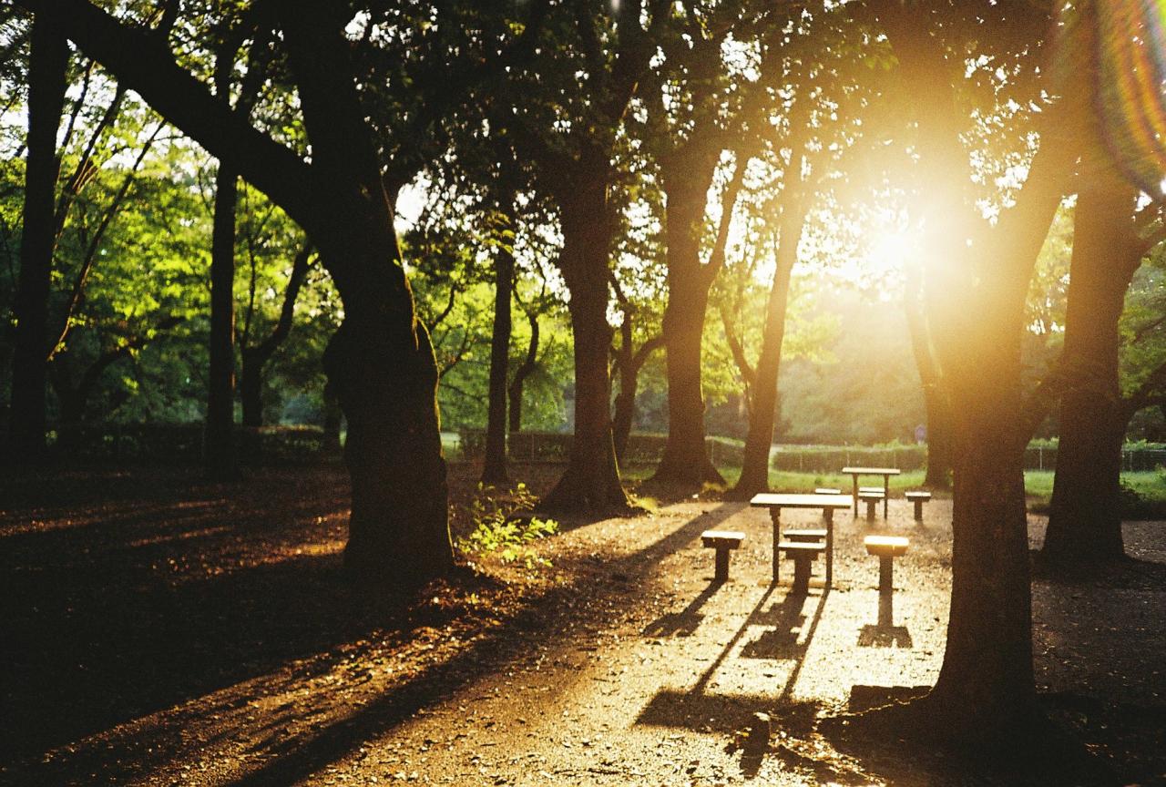 そらです☺︎ - 新橋 スナック TERESA テレサ