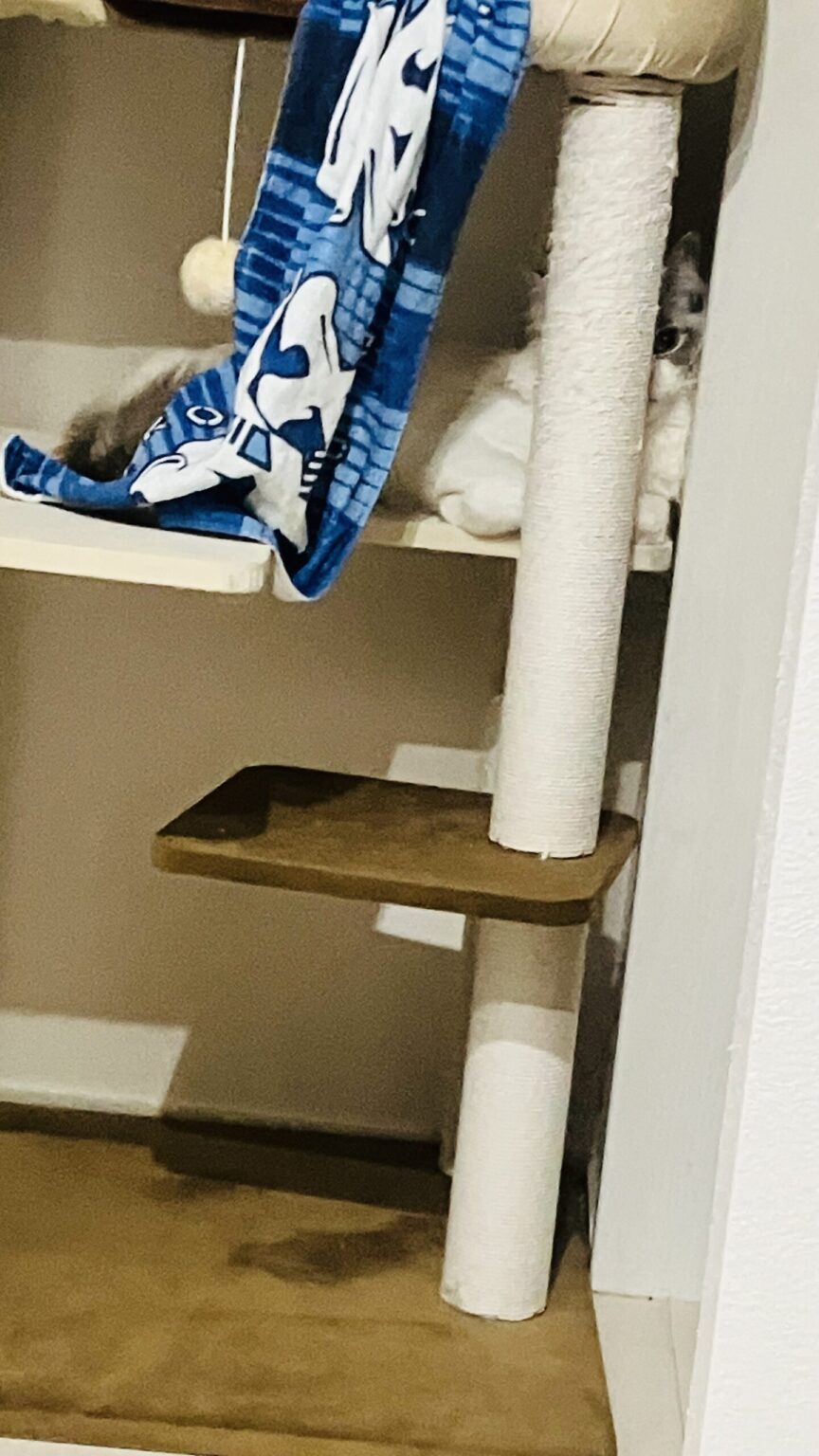 ニャルソック - 新橋 スナック TERESA テレサ