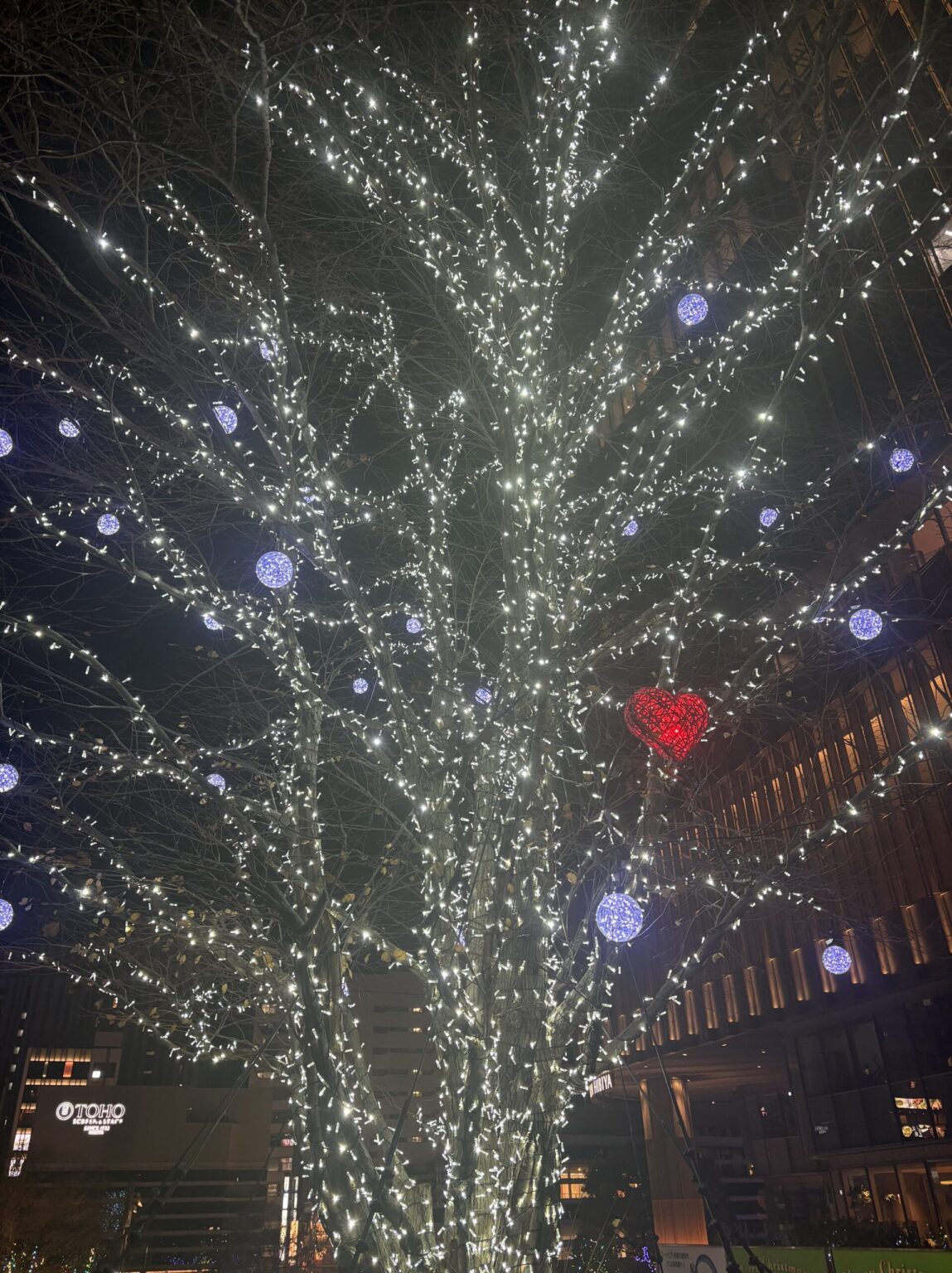 もかです🫶🏻 - 新橋 スナック TERESA テレサ