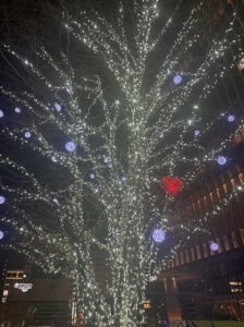 もかです🫶🏻