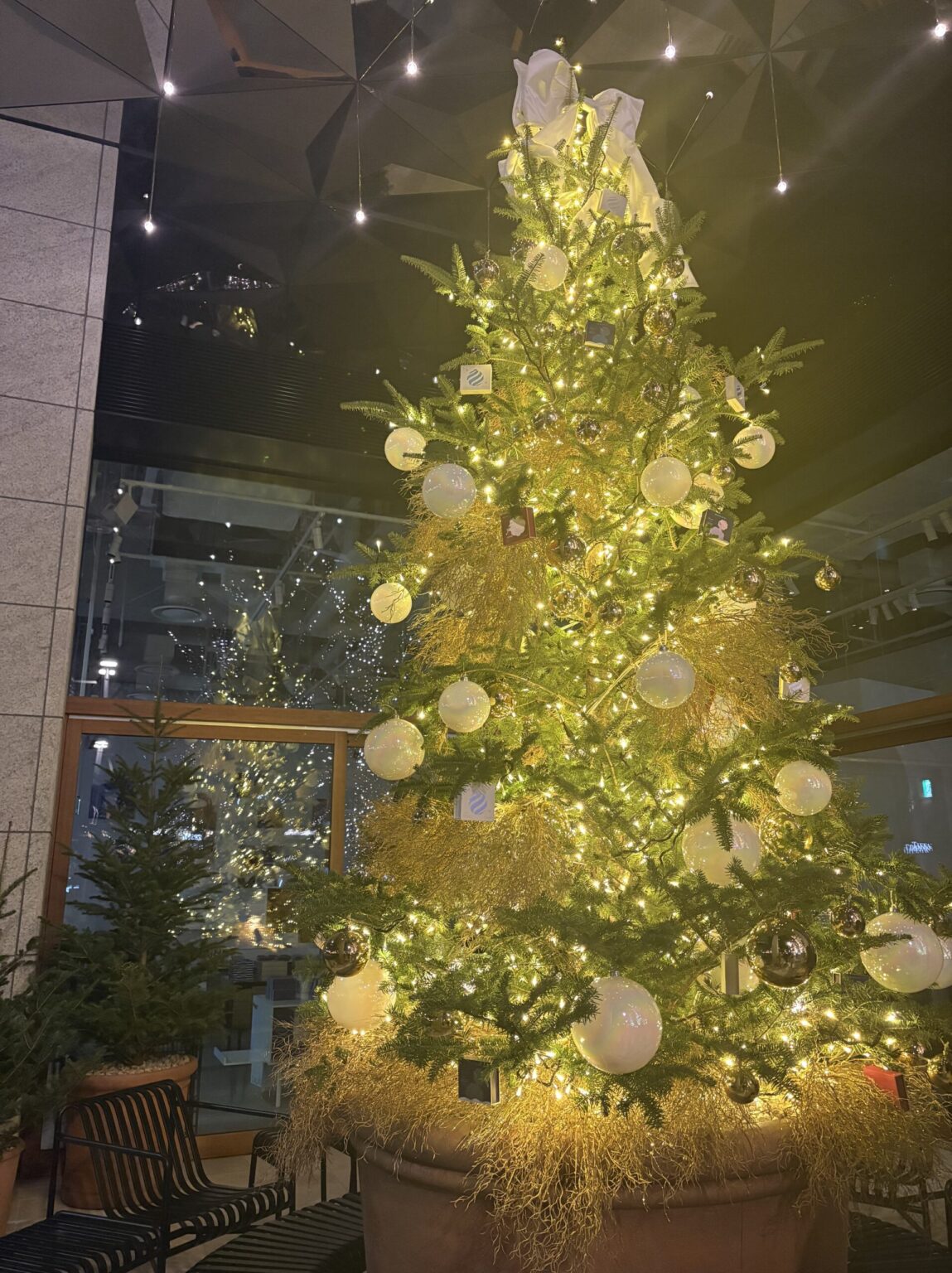 もかです🫶🏻 - 新橋 スナック TERESA テレサ