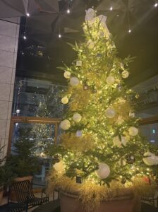 もかです🫶🏻