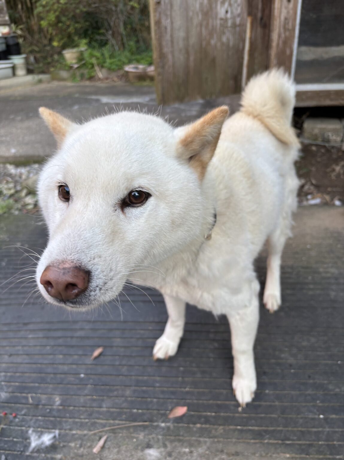 初めまして！ - 新橋 スナック TERESA テレサ