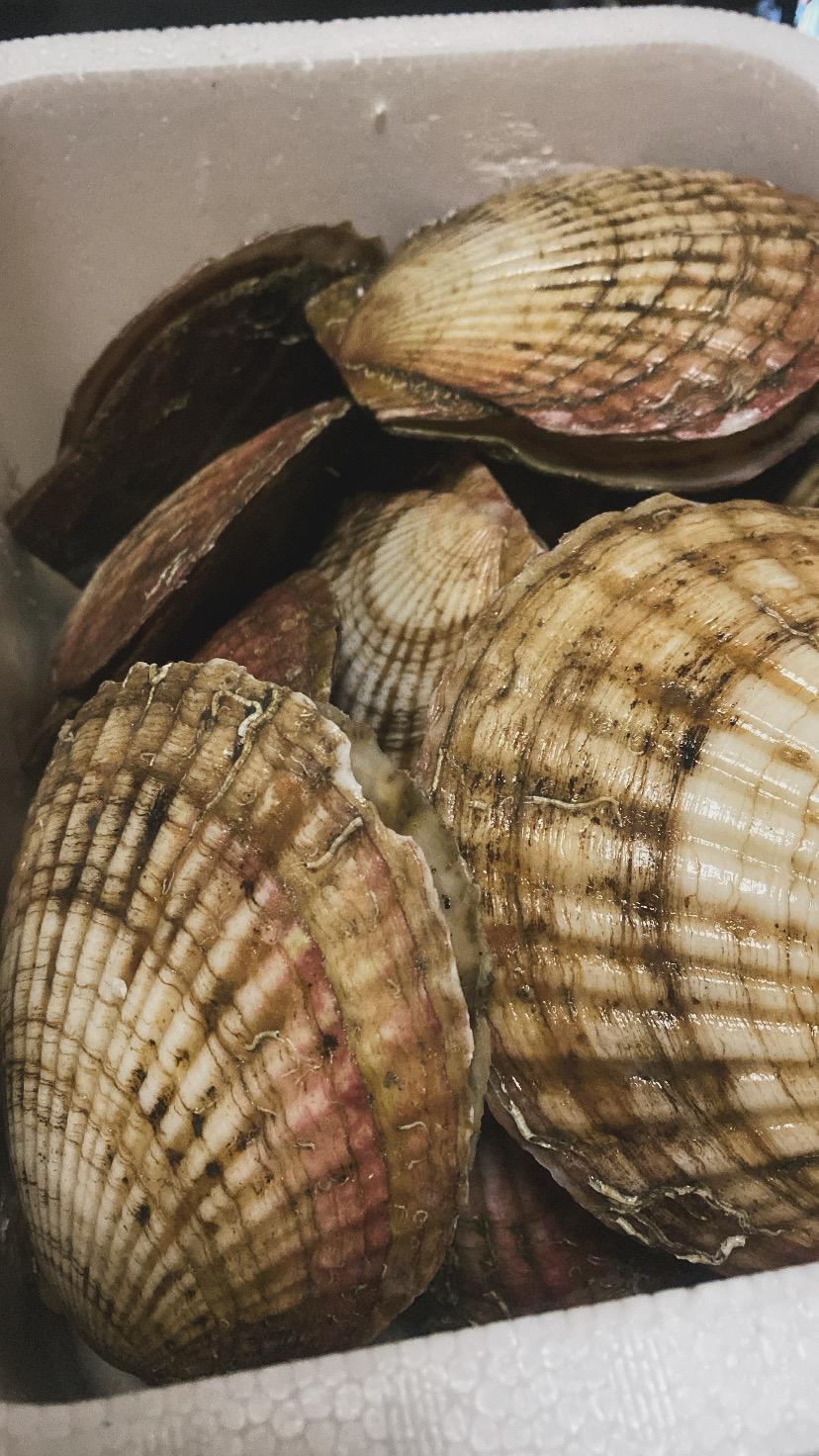 そらです☺︎ - 新橋 スナック TERESA テレサ