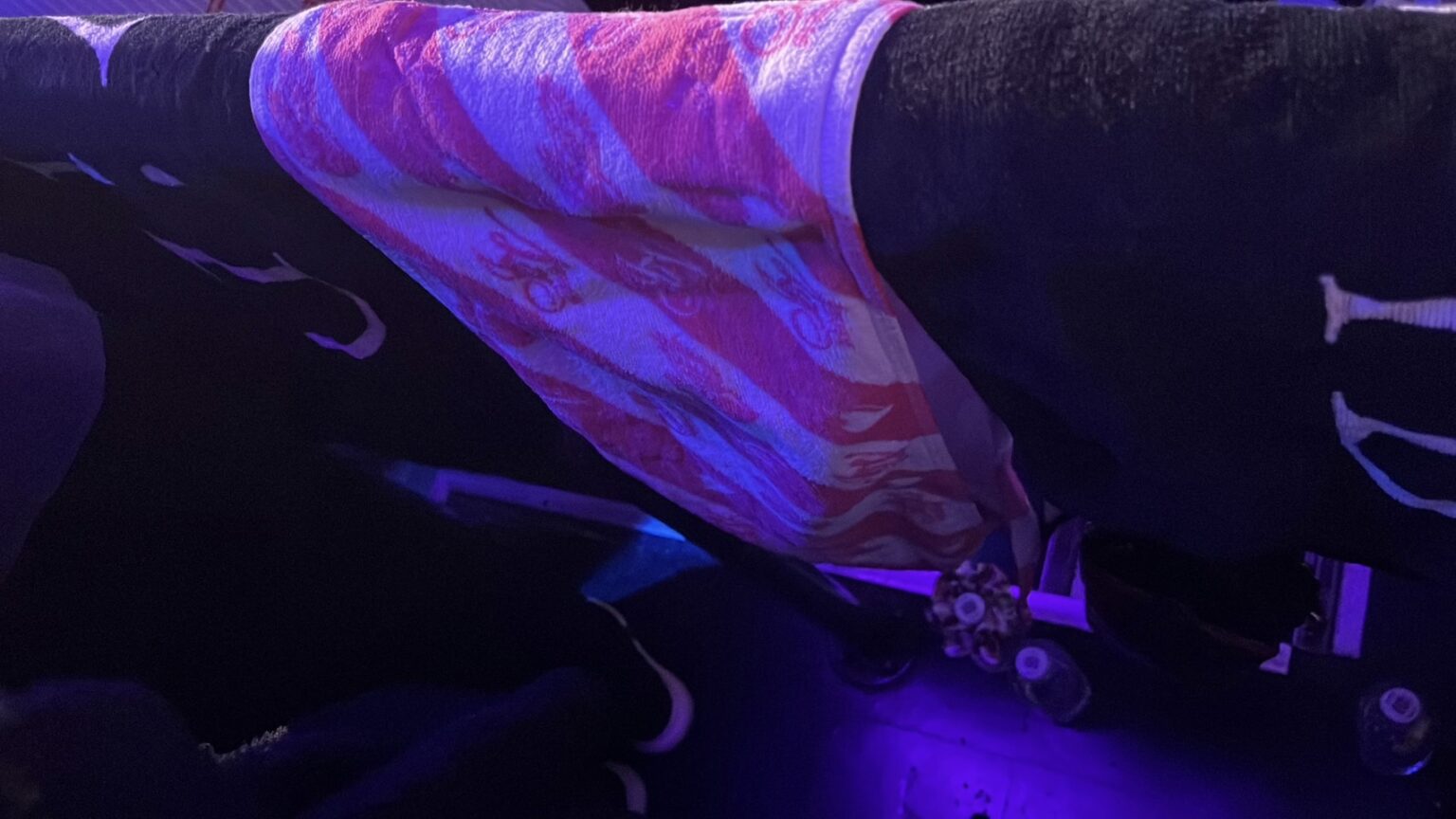 LIVE❤️🔥 - 新橋 スナック TERESA テレサ