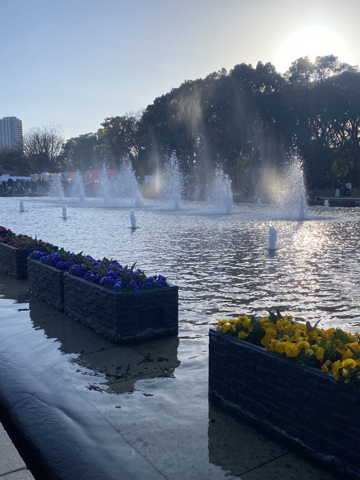 上野公園いった🌸 - 新橋 スナック TERESA テレサ