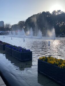 上野公園いった🌸