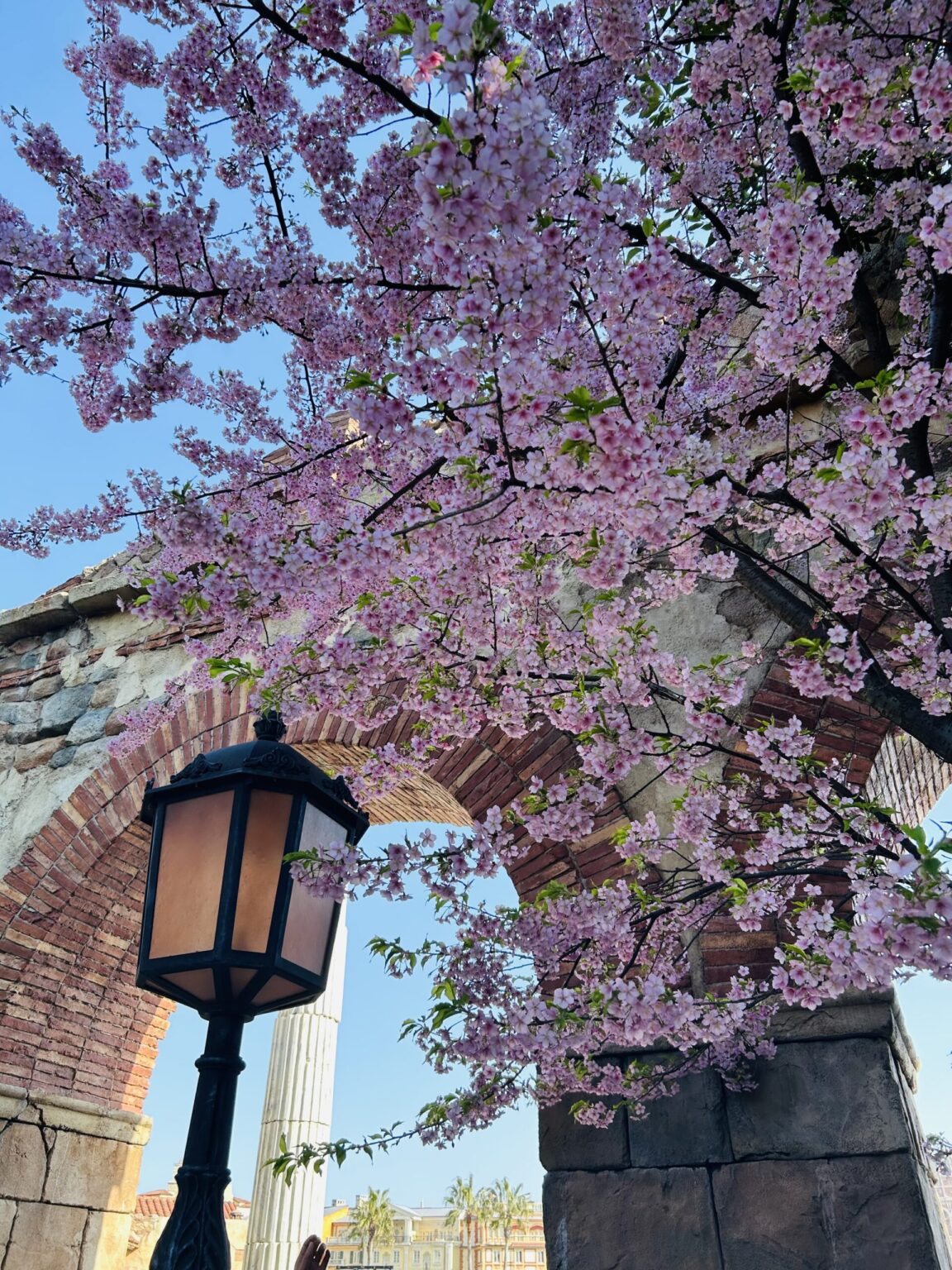 あいです！ - 新橋 スナック TERESA テレサ