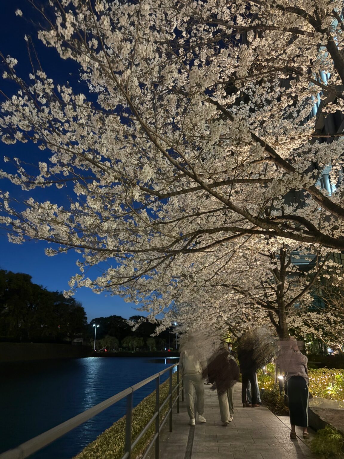 もかです🫶🏻 - 新橋 スナック TERESA テレサ