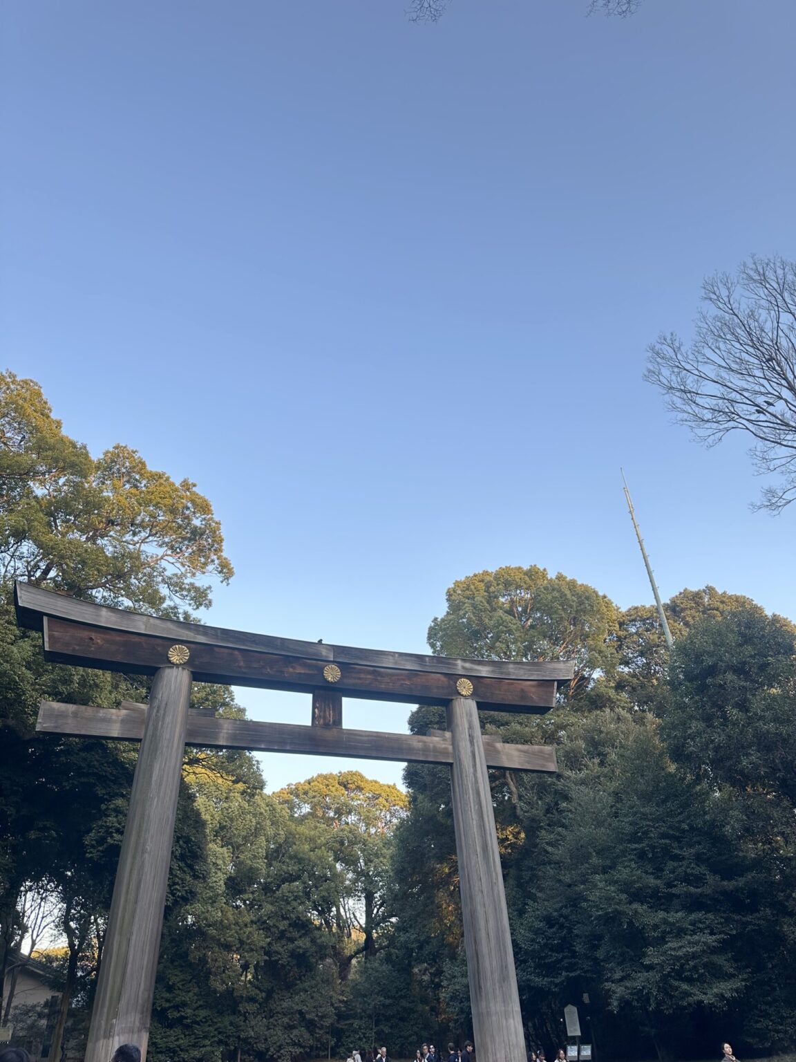 🌿⛩️ - 新橋 スナック TERESA テレサ