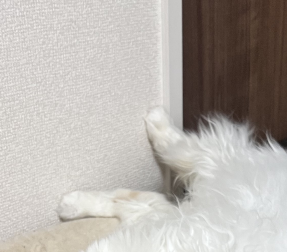はるです☁️ - 新橋 スナック TERESA テレサ