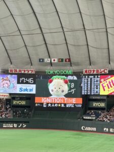 ななです🌸